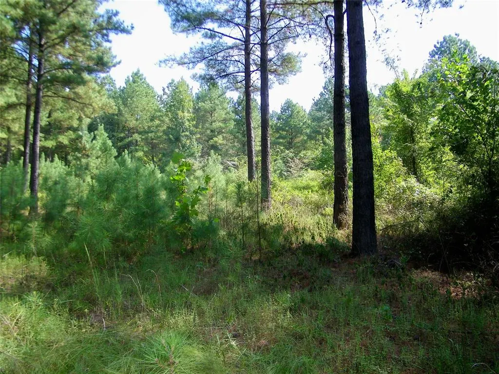 Photo 38 — 901 Sycamore Bend Loop, Broken Bow, OK 74728