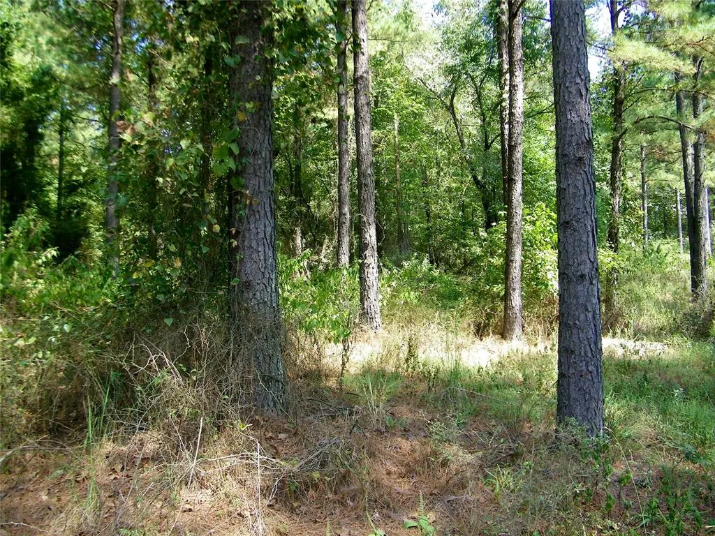 Photo 39 — 901 Sycamore Bend Loop, Broken Bow, OK 74728