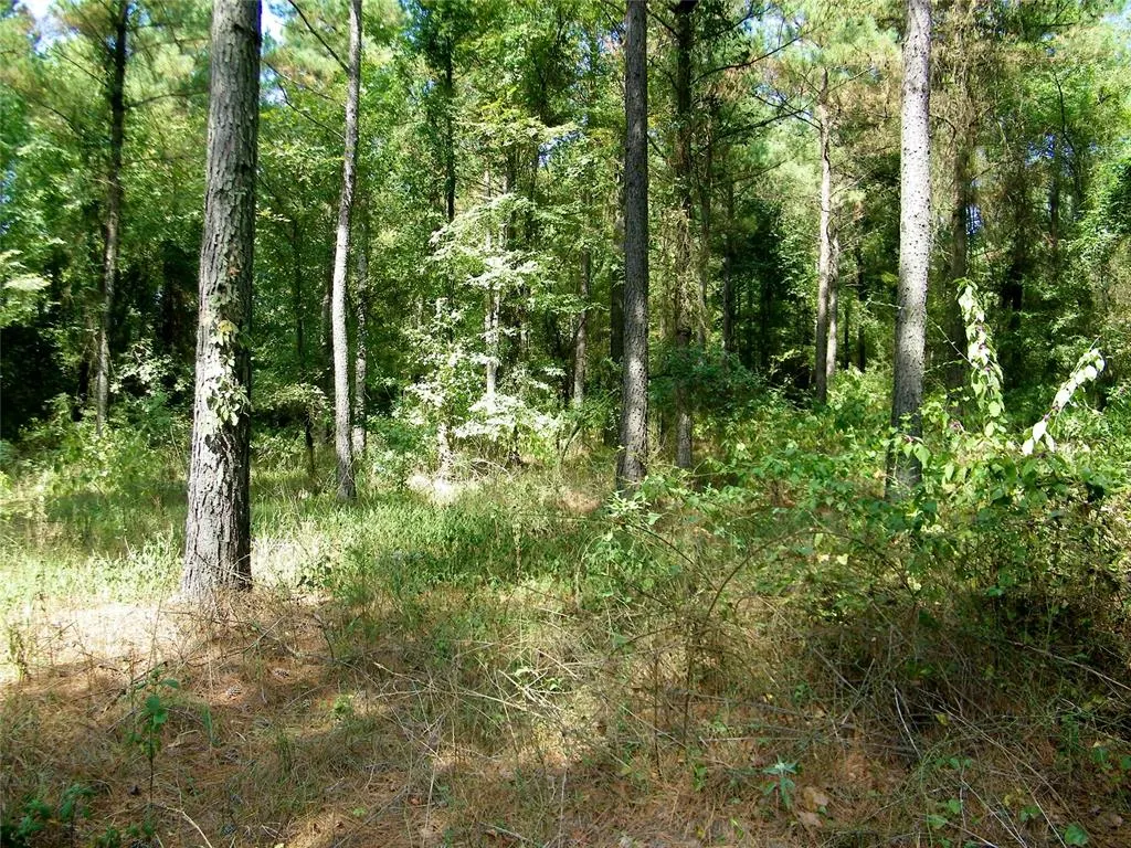 Photo 34 — 901 Sycamore Bend Loop, Broken Bow, OK 74728
