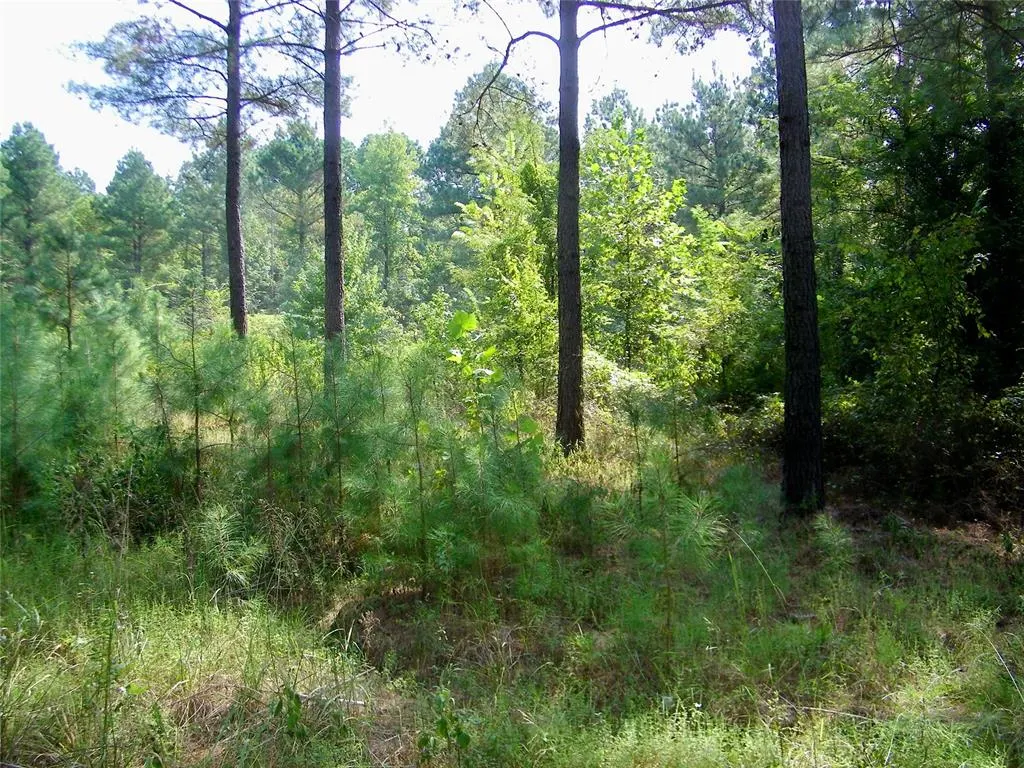 Photo 40 — 901 Sycamore Bend Loop, Broken Bow, OK 74728