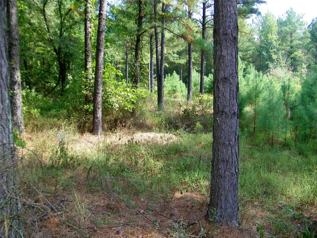 Photo 41 — 901 Sycamore Bend Loop, Broken Bow, OK 74728