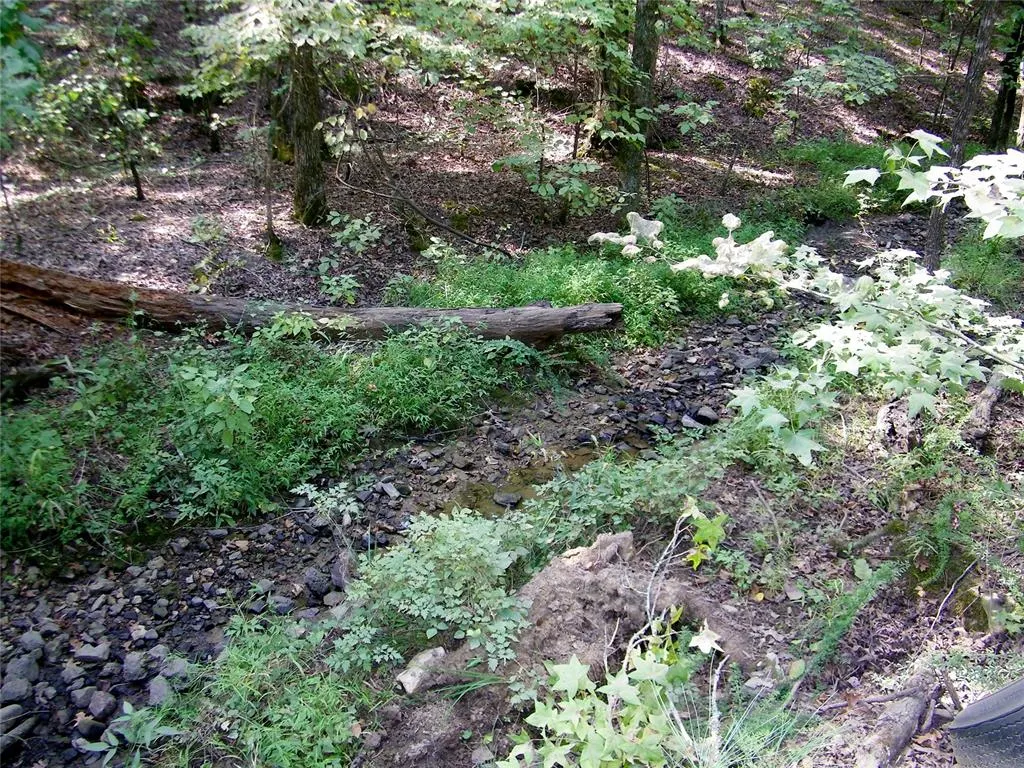Photo 42 — 901 Sycamore Bend Loop, Broken Bow, OK 74728
