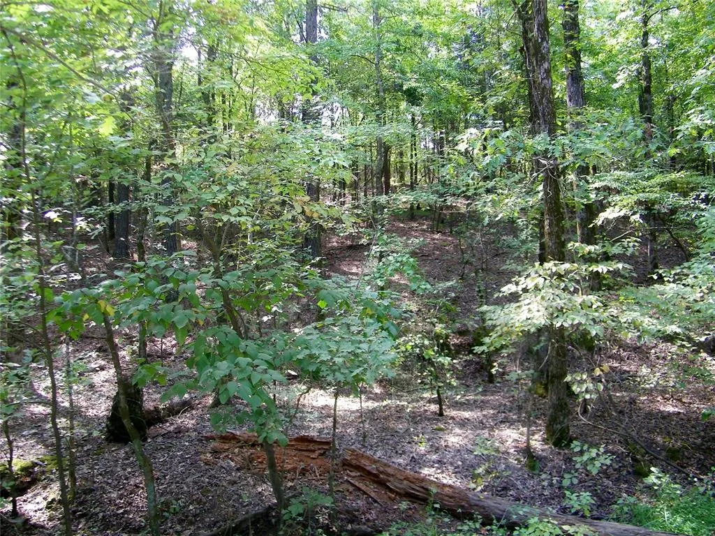 Photo 36 — 901 Sycamore Bend Loop, Broken Bow, OK 74728