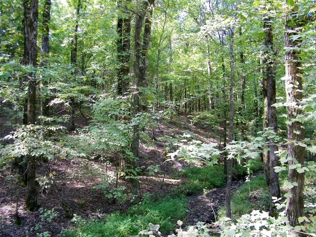 Photo 44 — 901 Sycamore Bend Loop, Broken Bow, OK 74728