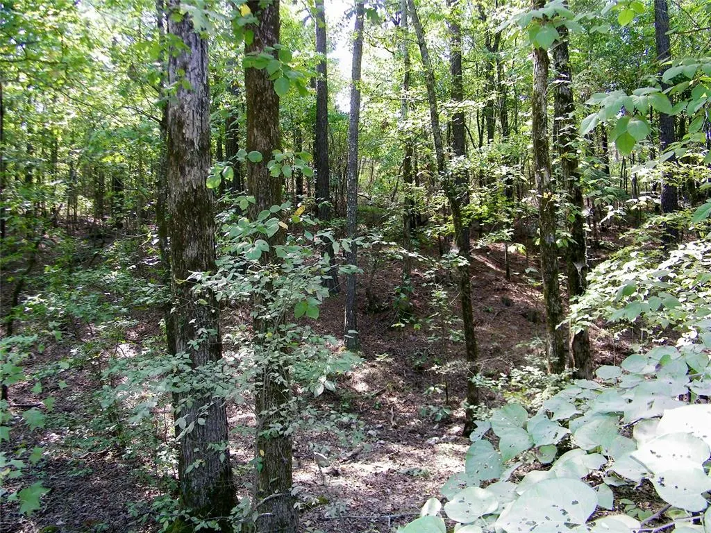 Photo 45 — 901 Sycamore Bend Loop, Broken Bow, OK 74728