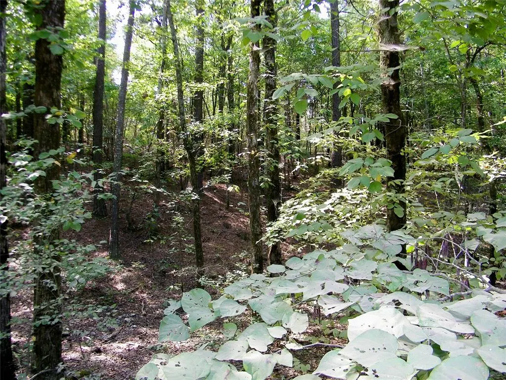 Photo 46 — 901 Sycamore Bend Loop, Broken Bow, OK 74728