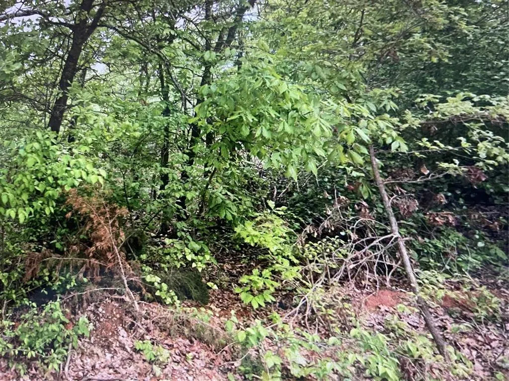 Photo 2 — 19244 SE 144th Street, Newalla, OK 74857