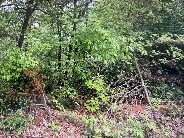 Photo 2 — 19244 SE 144th Street, Newalla, OK 74857