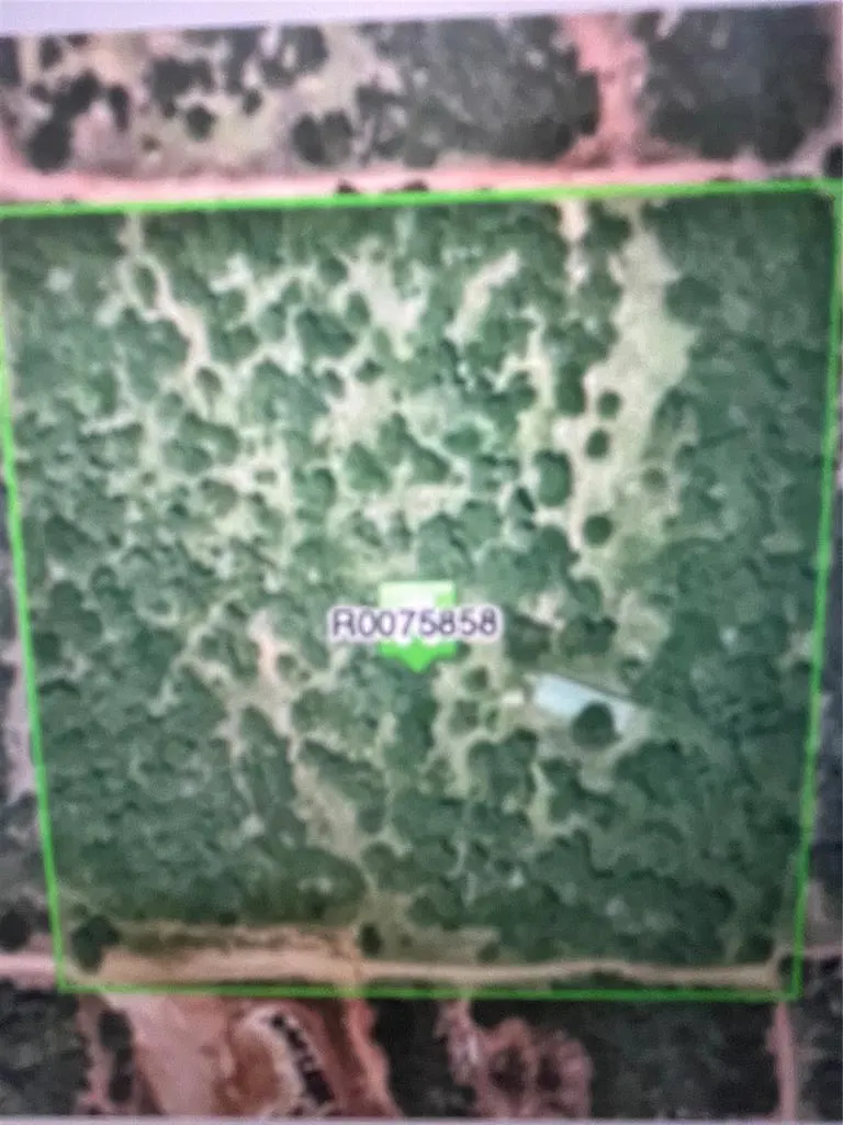 Photo 4 — 19244 SE 144th Street, Newalla, OK 74857
