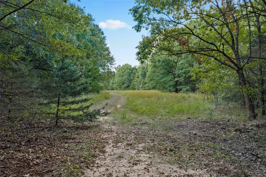 Photo 15 — E 1650 E County Road, Roff, OK 74865