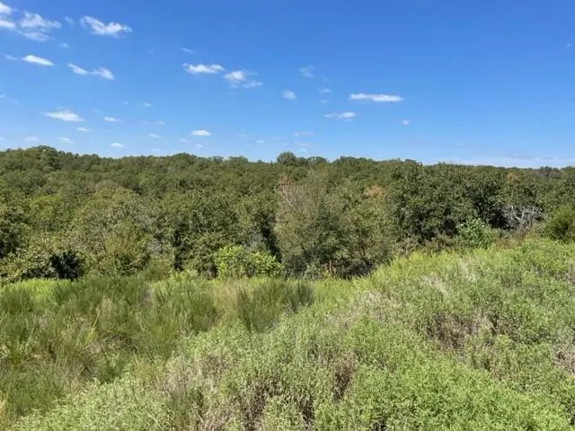 Photo 8 — EW 1260 Road, Seminole, OK 74868
