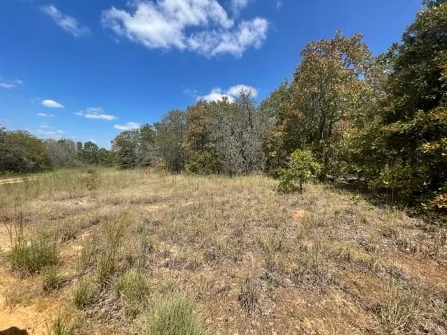 Photo 11 — EW 1260 Road, Seminole, OK 74868