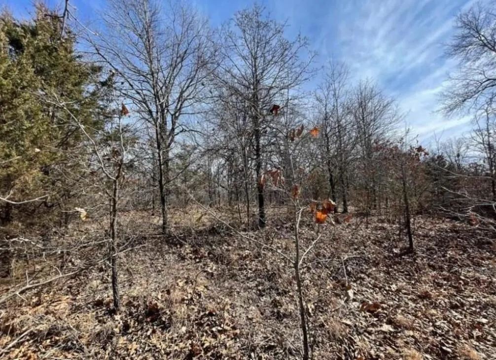 Photo 3 — Lot 3 Post Oak Road, Noble, OK 73068