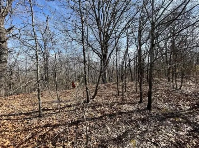 Photo 4 — Lot 3 Post Oak Road, Noble, OK 73068