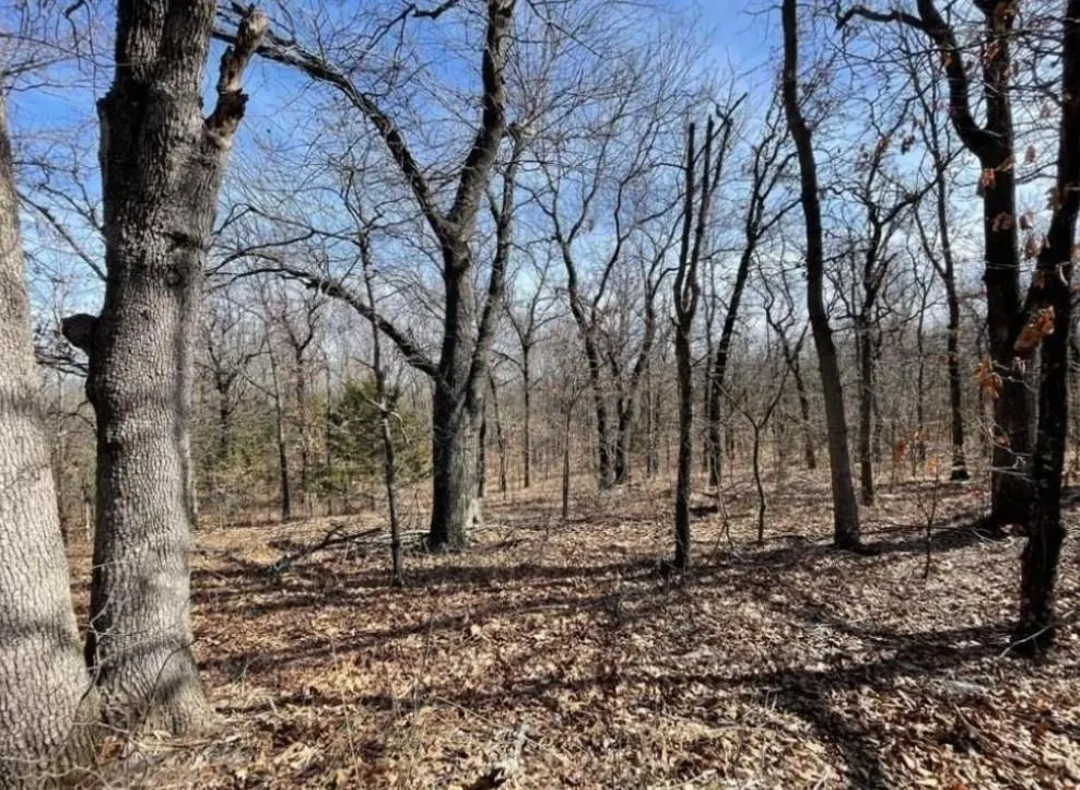 Photo 5 — Lot 3 Post Oak Road, Noble, OK 73068