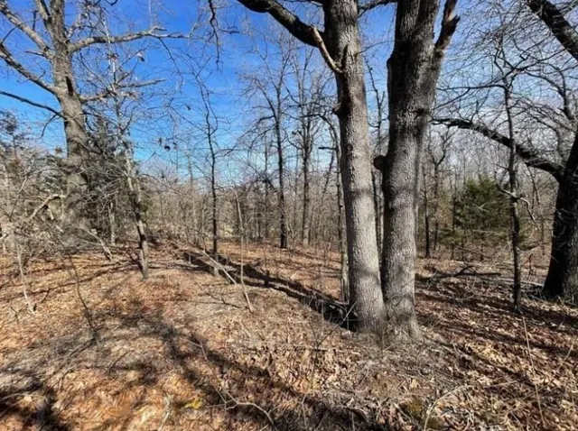 Photo 6 — Lot 3 Post Oak Road, Noble, OK 73068