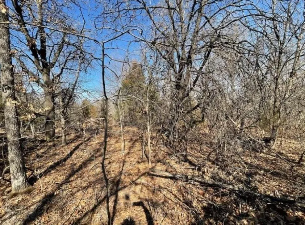 Photo 6 — 208 Jesse Street, Norman, OK 73071