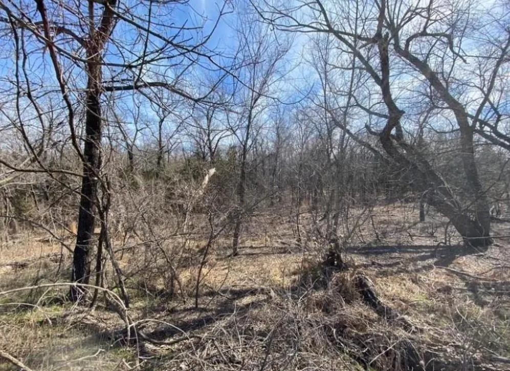 Photo 2 — Lot 7 Post Oak Road, Noble, OK 73068