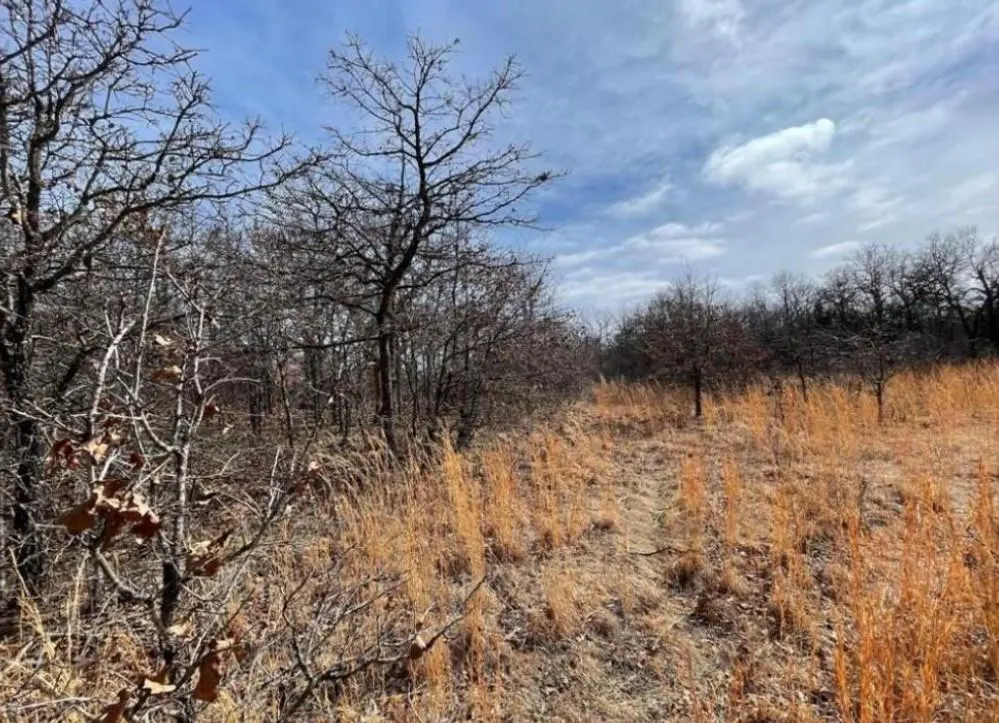 Photo 4 — Lot 9 Toad Road, Harrah, OK 73045