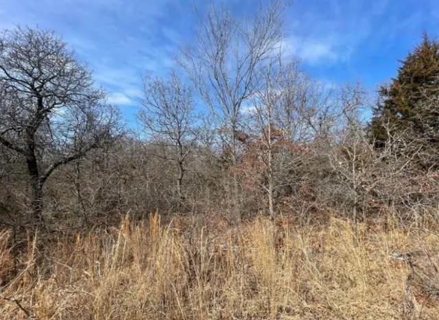 Photo 5 — Lot 9 Toad Road, Harrah, OK 73045
