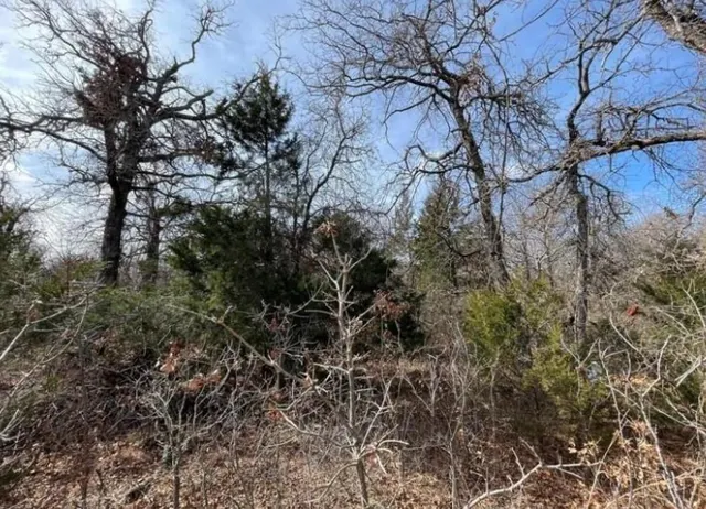 Photo 2 — Lot 14 Toad Road, Harrah, OK 73045