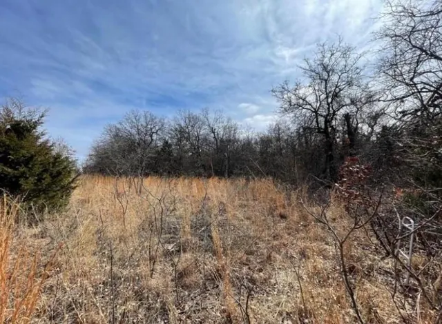 Photo 3 — Lot 14 Toad Road, Harrah, OK 73045