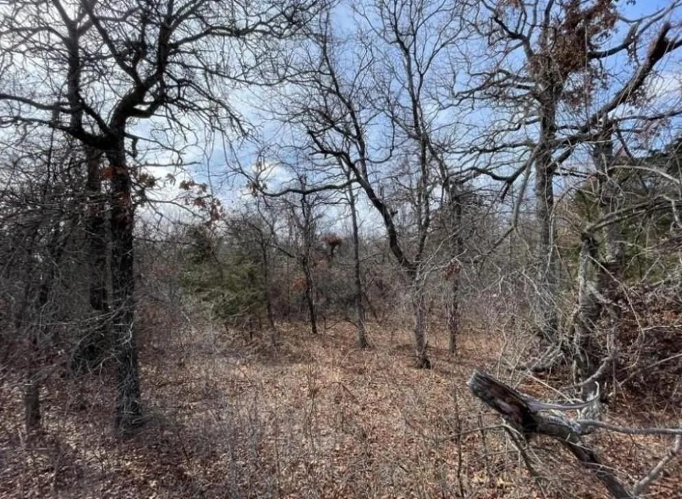 Photo 4 — Lot 14 Toad Road, Harrah, OK 73045