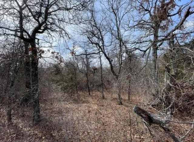 Photo 4 — Lot 14 Toad Road, Harrah, OK 73045