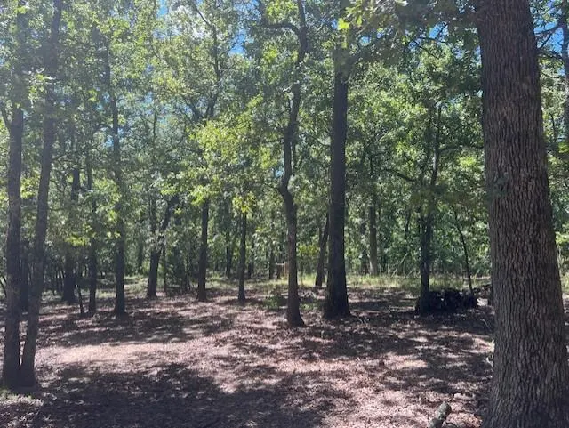 Photo 2 — 29193 Silver Horn Lane, Macomb, OK 74852