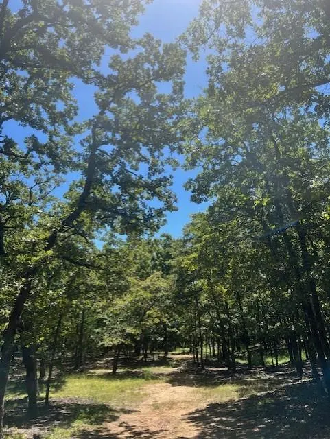 Photo 3 — 29193 Silver Horn Lane, Macomb, OK 74852