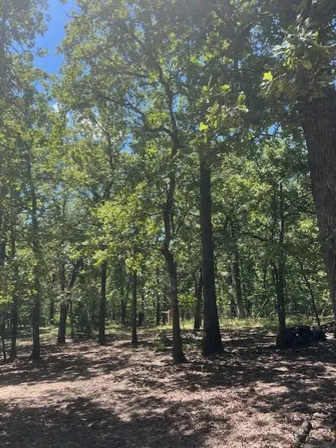 Photo 4 — 29193 Silver Horn Lane, Macomb, OK 74852