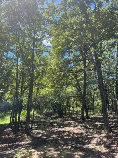 Photo 5 — 29193 Silver Horn Lane, Macomb, OK 74852