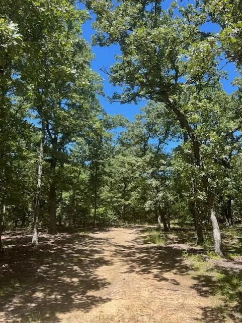 Photo 6 — 29193 Silver Horn Lane, Macomb, OK 74852