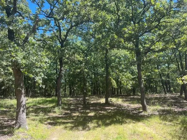 Photo 7 — 29193 Silver Horn Lane, Macomb, OK 74852