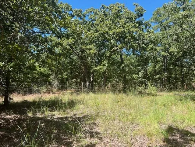 Photo 9 — 29193 Silver Horn Lane, Macomb, OK 74852