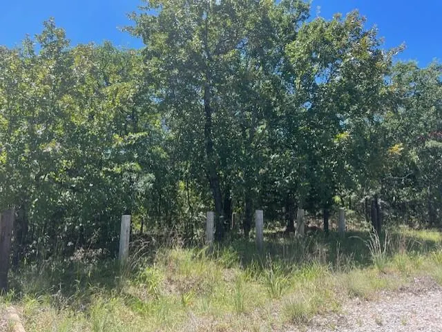 Photo 10 — 29193 Silver Horn Lane, Macomb, OK 74852