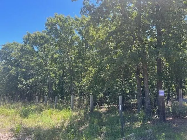 Photo 11 — 29193 Silver Horn Lane, Macomb, OK 74852