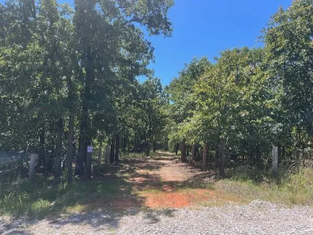 Photo 12 — 29193 Silver Horn Lane, Macomb, OK 74852