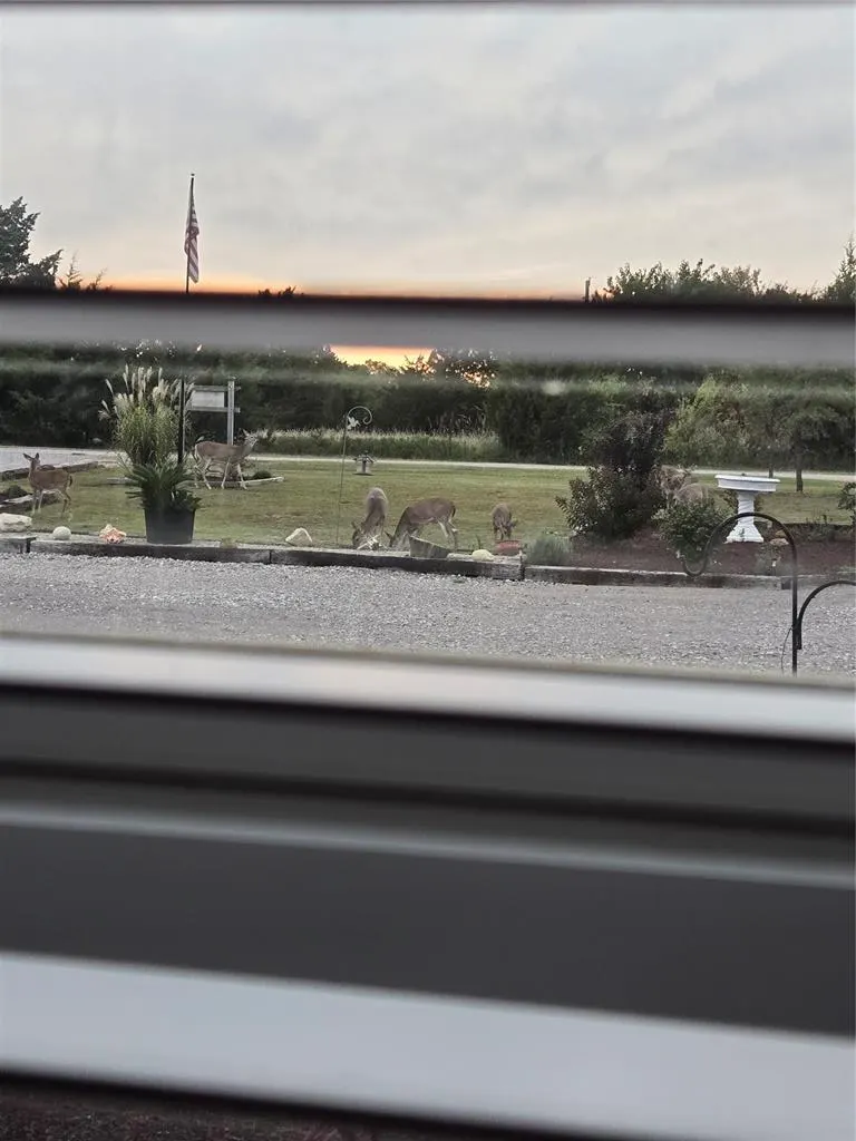 Photo 34 — 145 Rackley Road, Sulphur, OK 73086