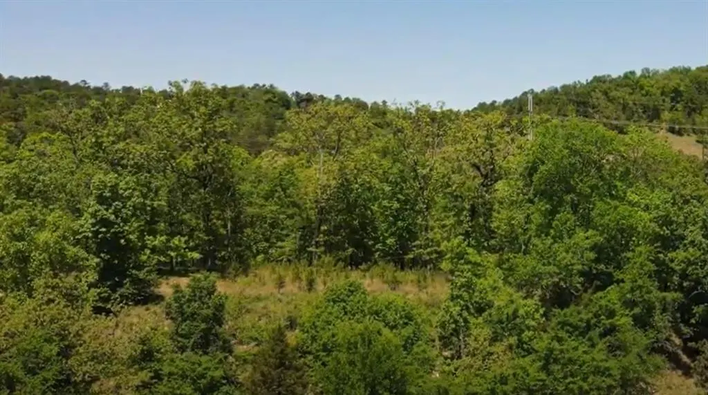 Photo 10 — 546 Split Creek Lane, Broken Bow, OK 74728