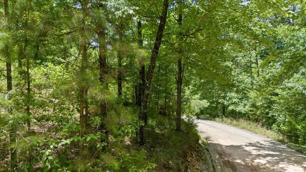 Photo 13 — 546 Split Creek Lane, Broken Bow, OK 74728