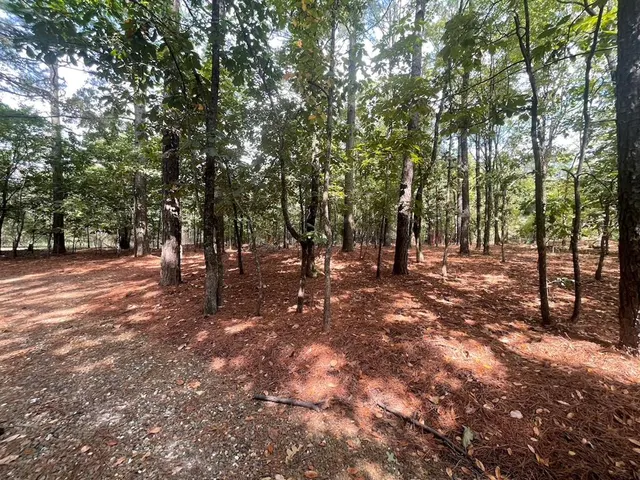 Photo 7 — 616 Southern Hills Road, Broken Bow, OK 74728