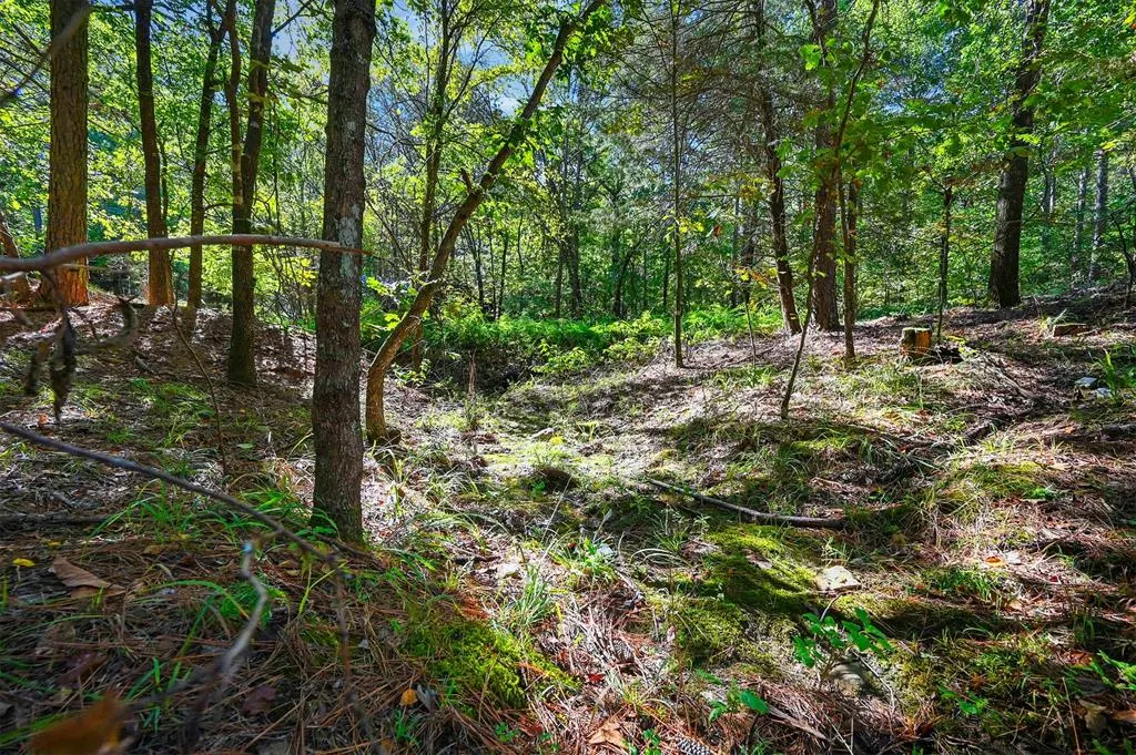 Photo 3 — 499 Hiddenwater Road, Broken Bow, OK 74728