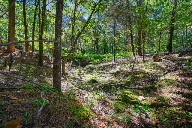 Photo 3 — 499 Hiddenwater Road, Broken Bow, OK 74728
