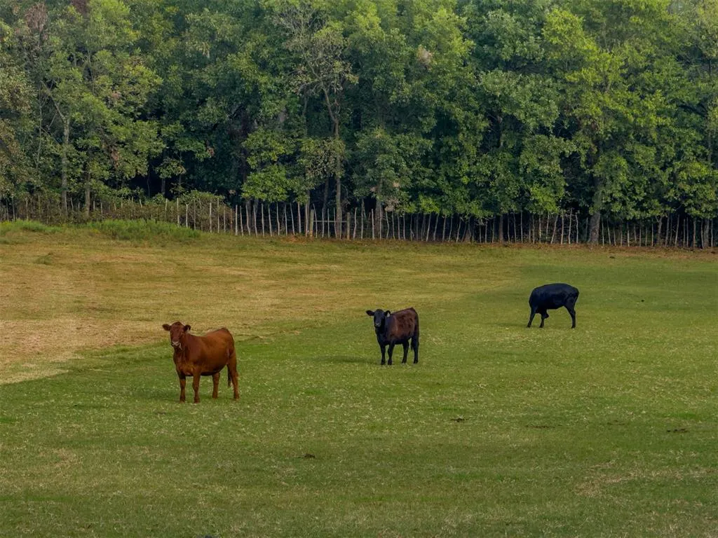 Photo 18 — 12951 N County Road 3250, Pauls Valley, OK 73075