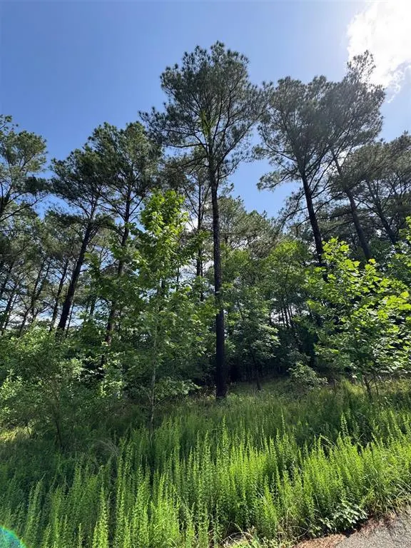 Photo 2 — 49 Blue Maple Trail, Broken Bow, OK 74728