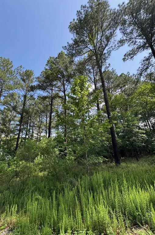 Photo 7 — 49 Blue Maple Trail, Broken Bow, OK 74728