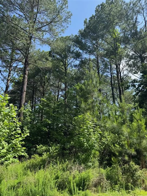 Photo 8 — 49 Blue Maple Trail, Broken Bow, OK 74728