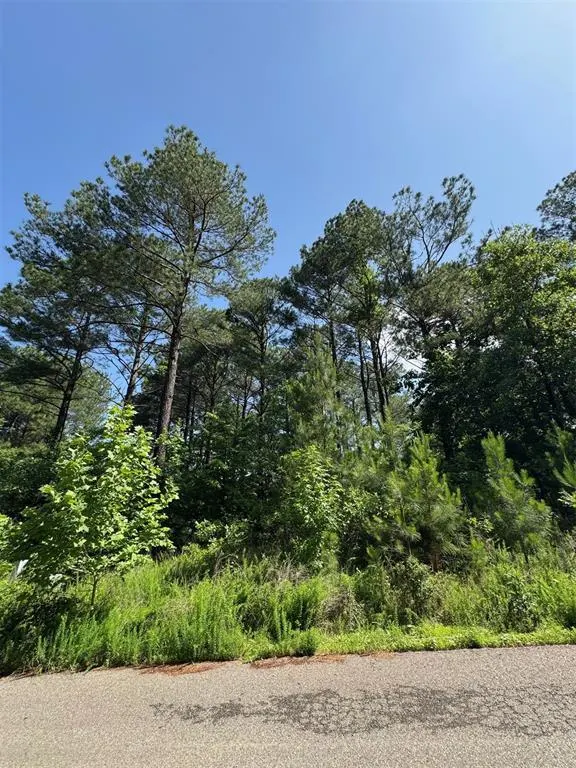 Photo 10 — 49 Blue Maple Trail, Broken Bow, OK 74728