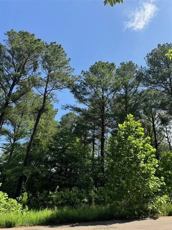 Front exterior — 87 Blue Maple Trail, Broken Bow, OK 74728